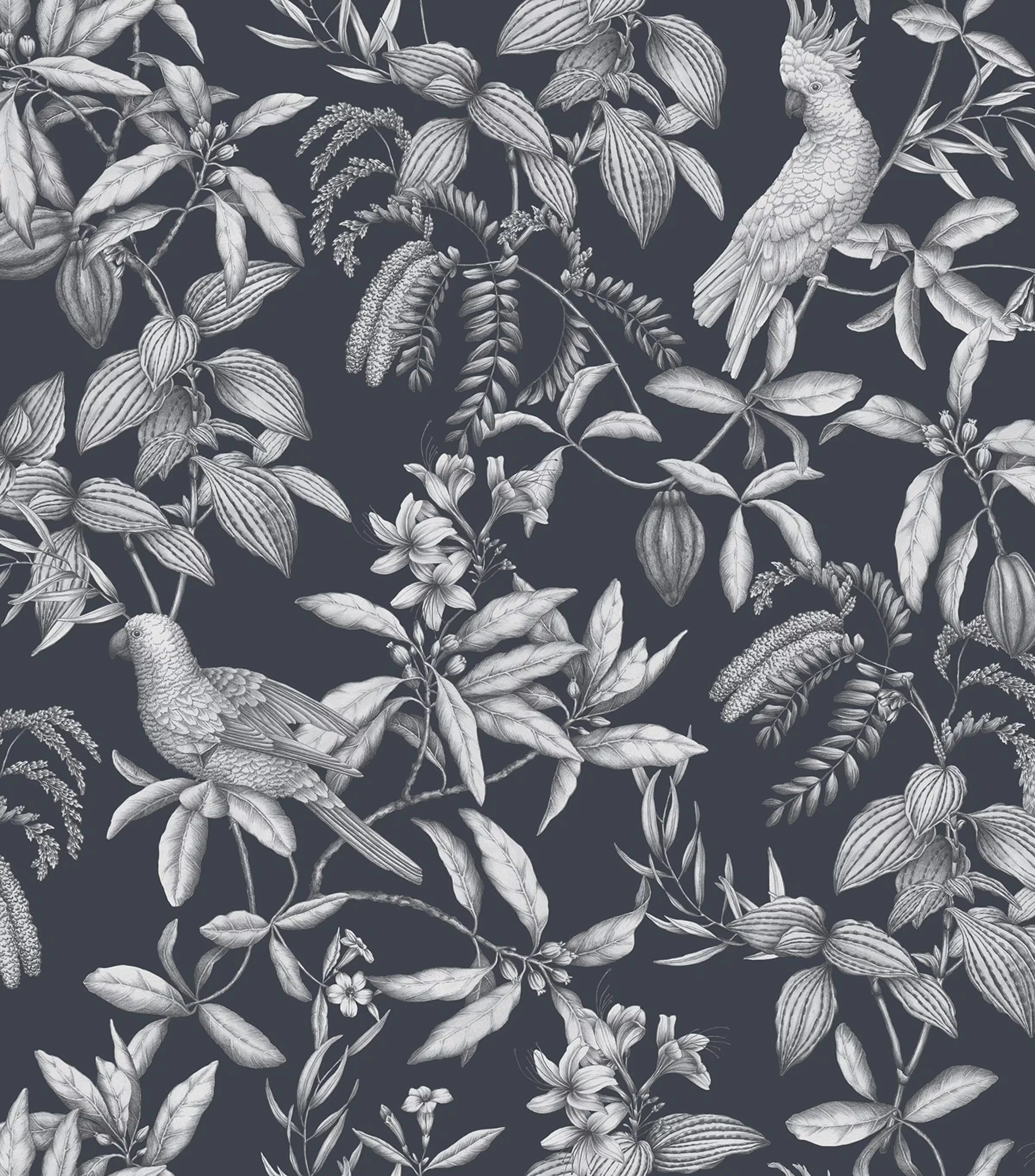 Cotton Sateen Calypso King Oxford Pillowcase (50cm x 90cm)