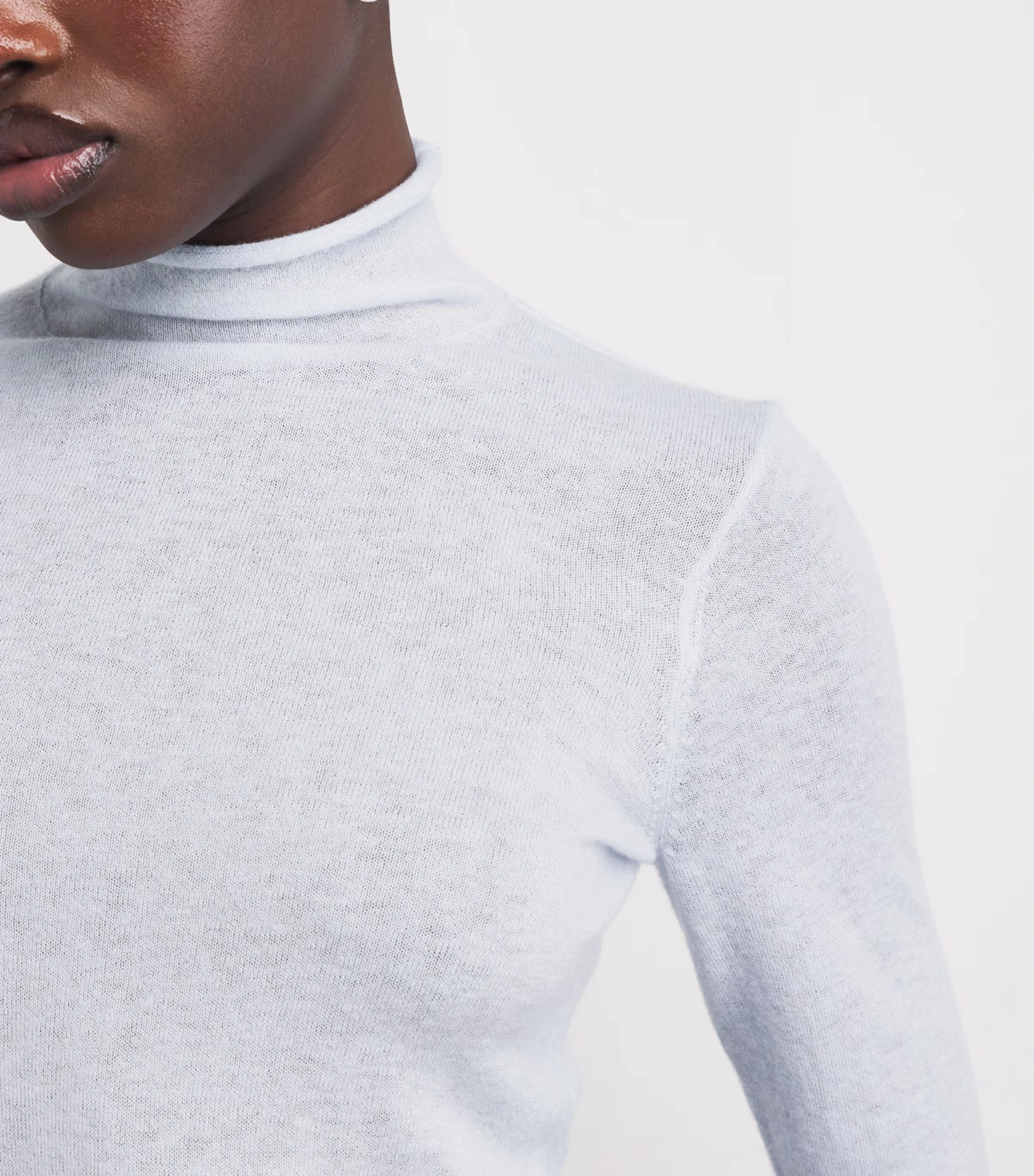 Cashmere Sheer Rollneck Top 6 Cashmere Sheer Rollneck Top