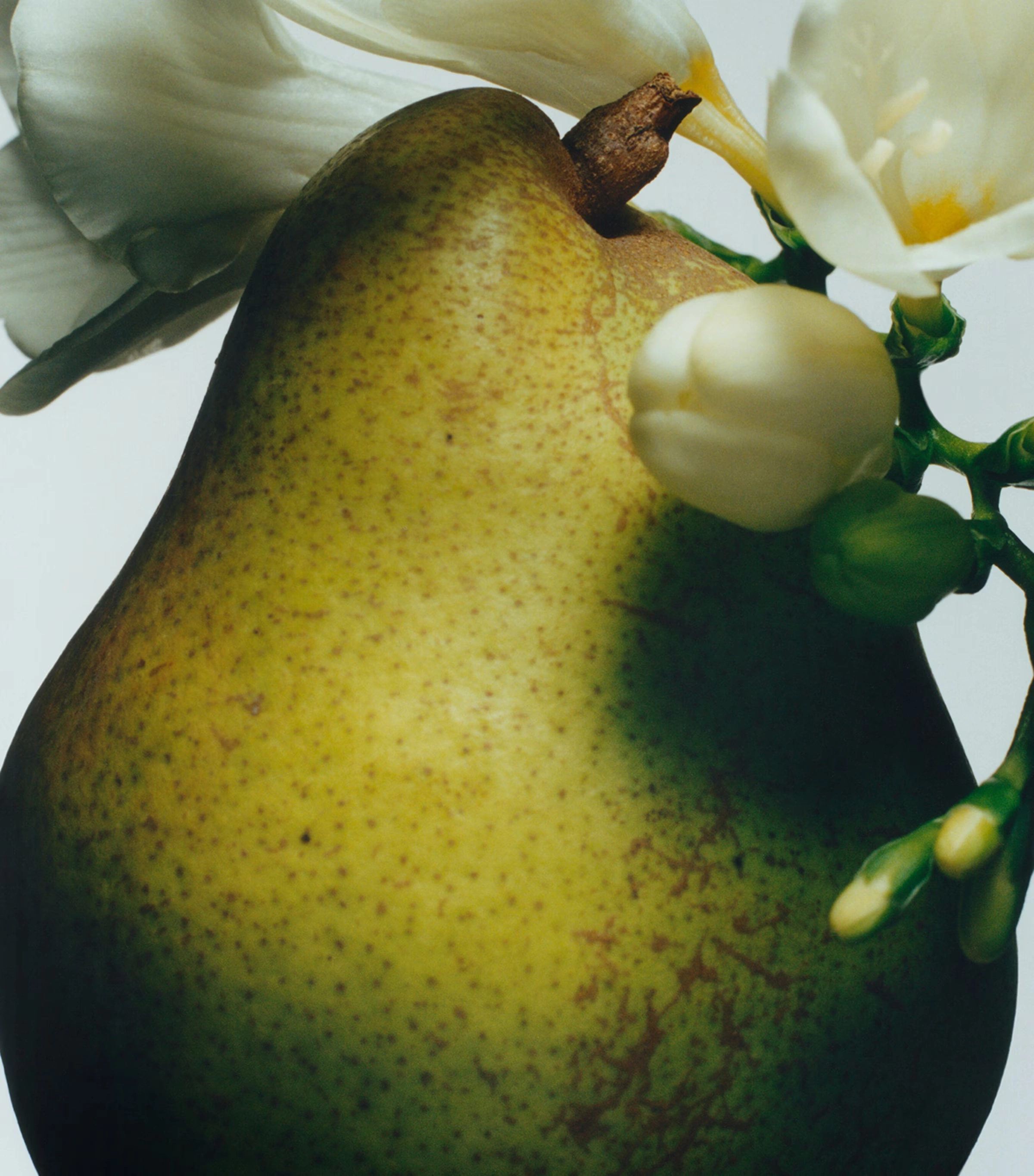 English Pear and Freesia Bath Oil (30ml)