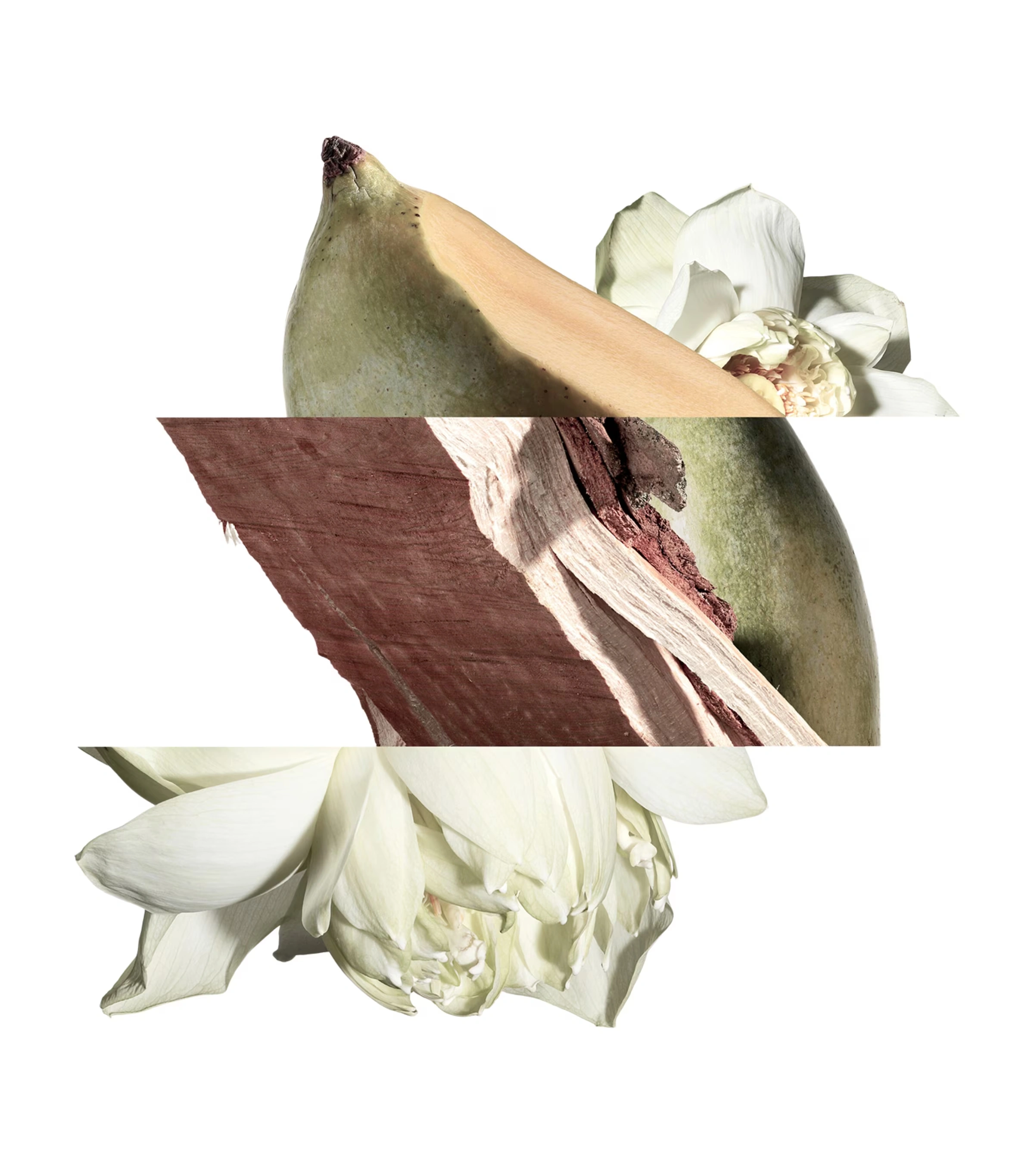 Un Jardin sur le Nil Hair Mist (30ml) 3 Un Jardin sur le Nil Hair Mist (30ml)