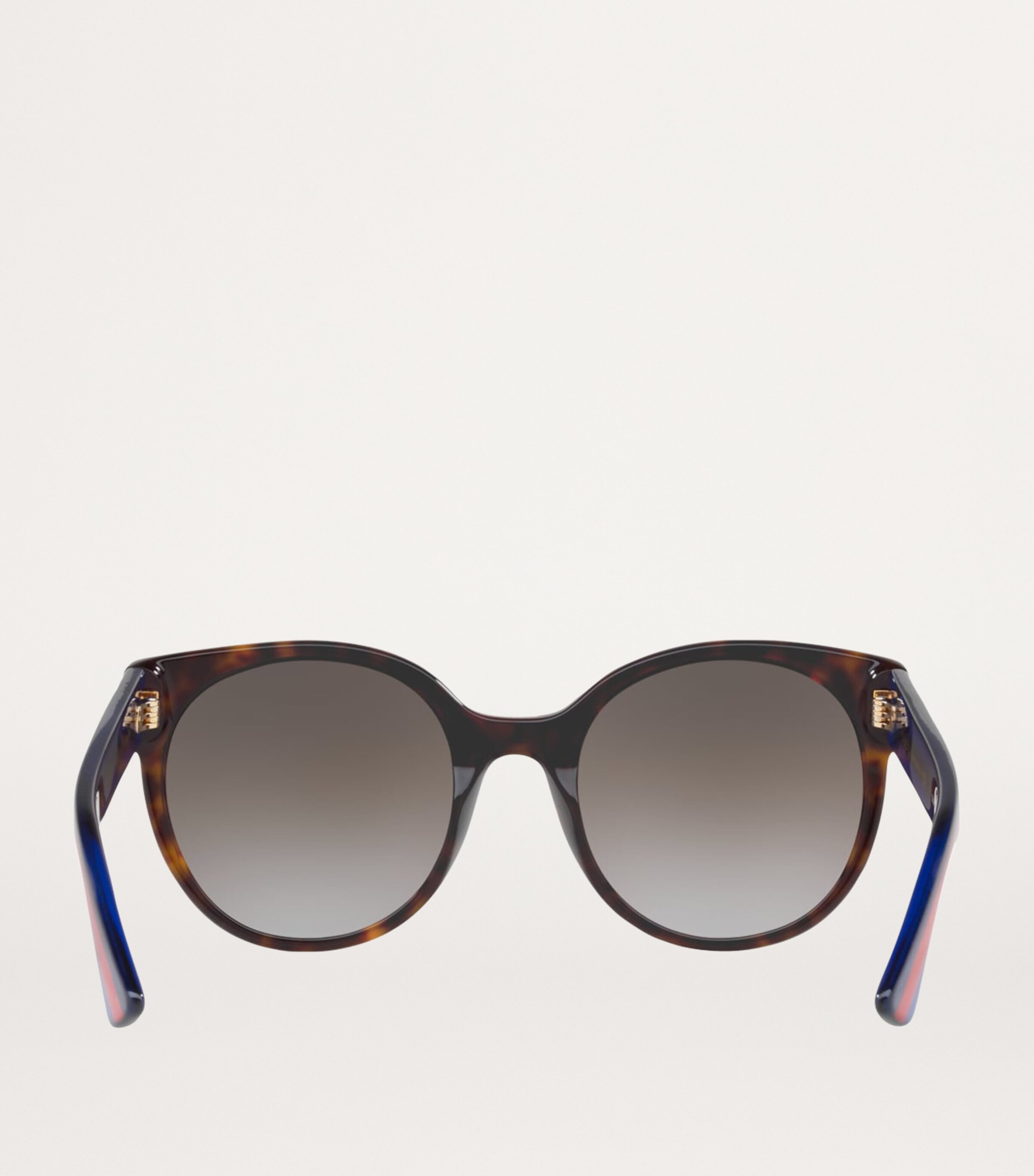 Acetate 0GC001661 Sunglasses