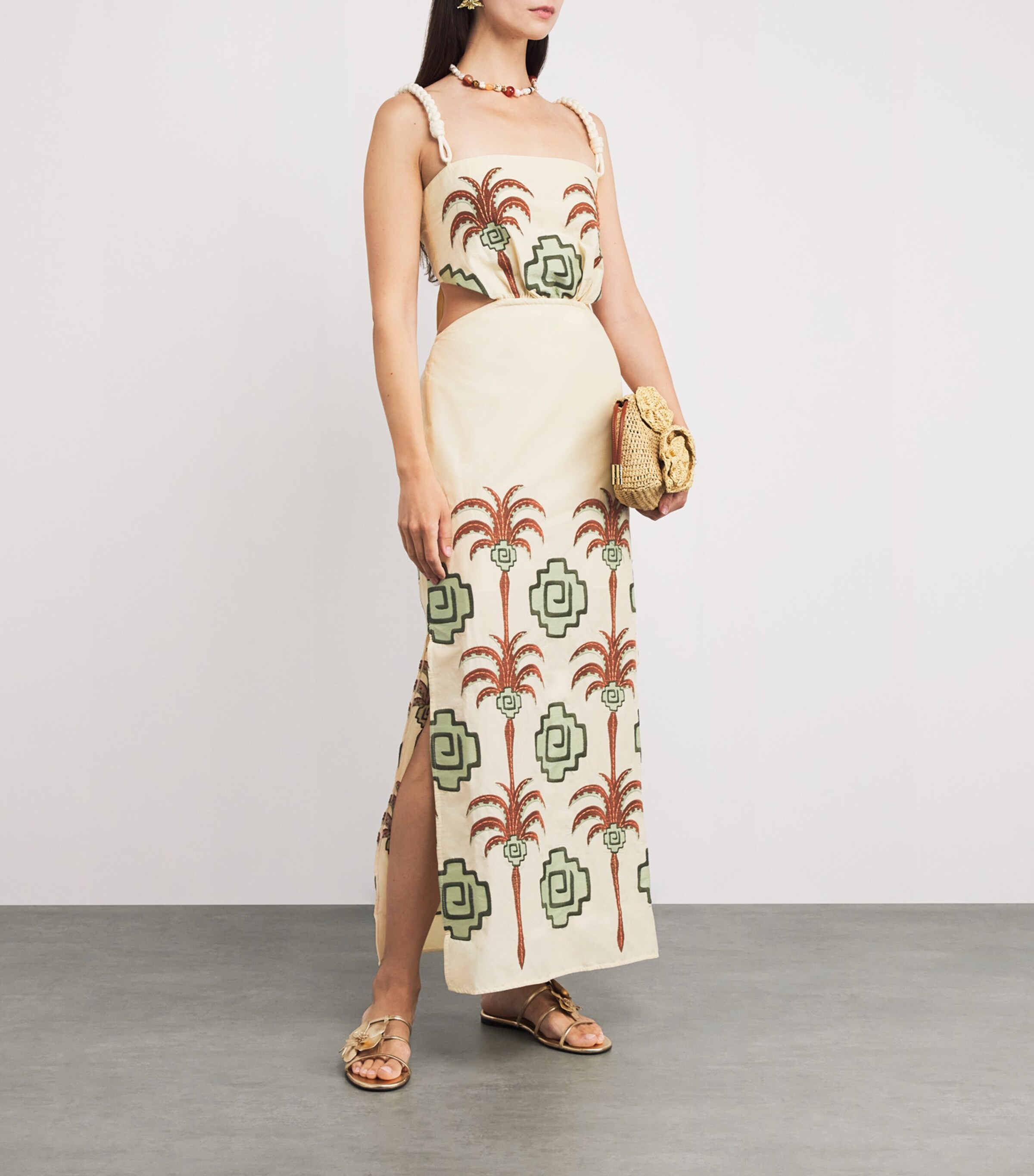Embroidered Tributaries Maxi Dress