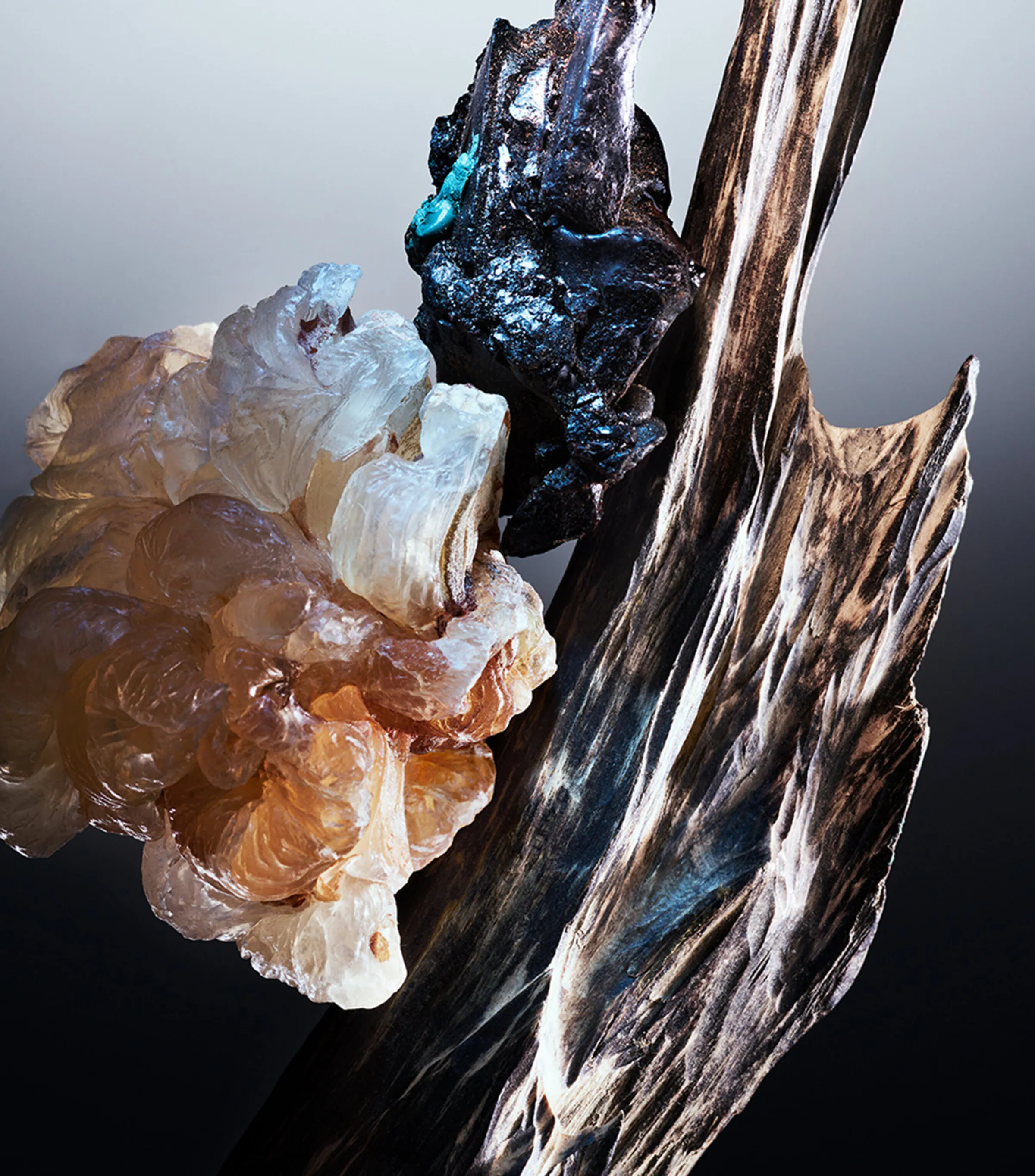 Le Gemme Onekh Eau de Parfum