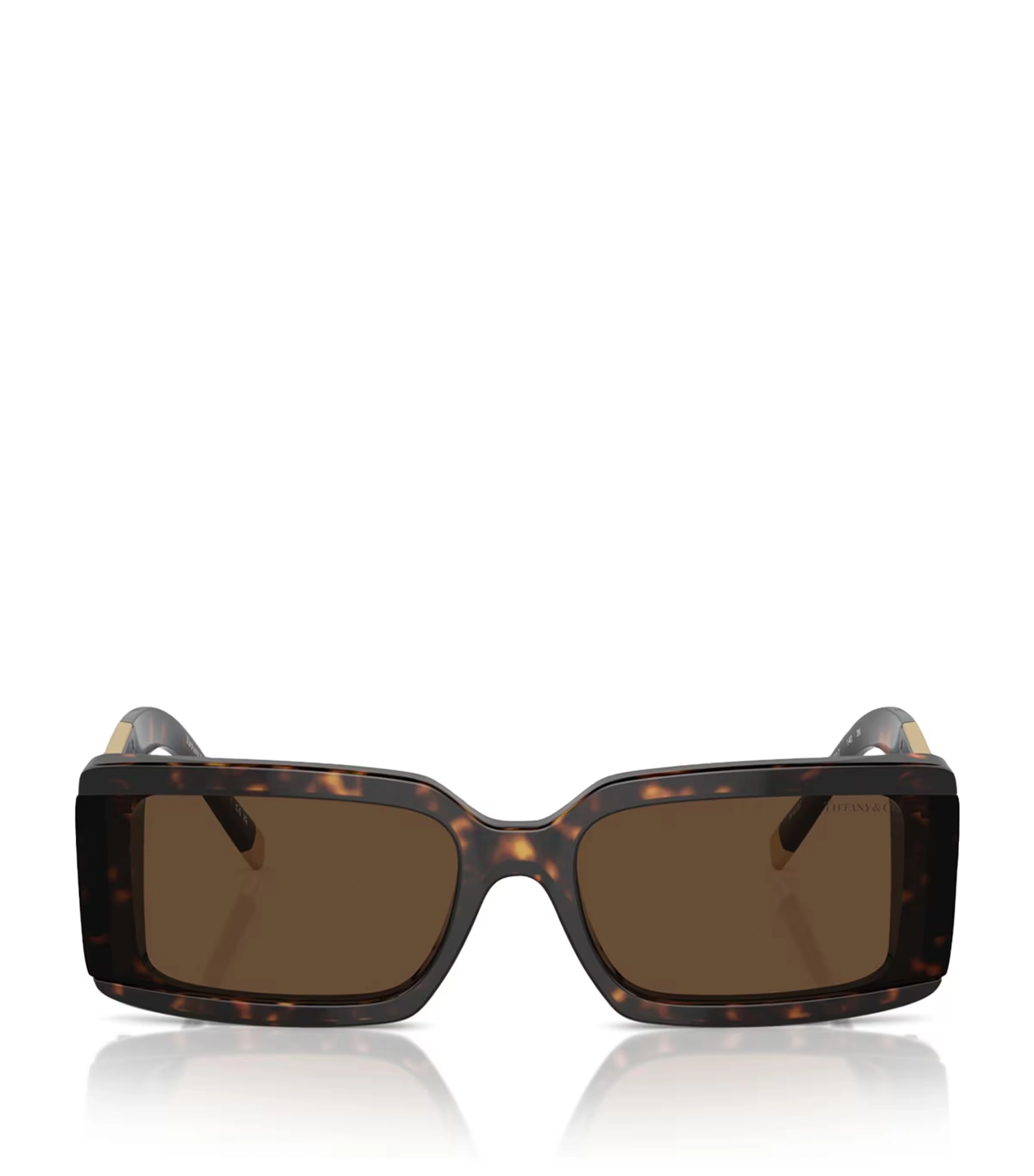 Acetate TF4197 Sunglasses