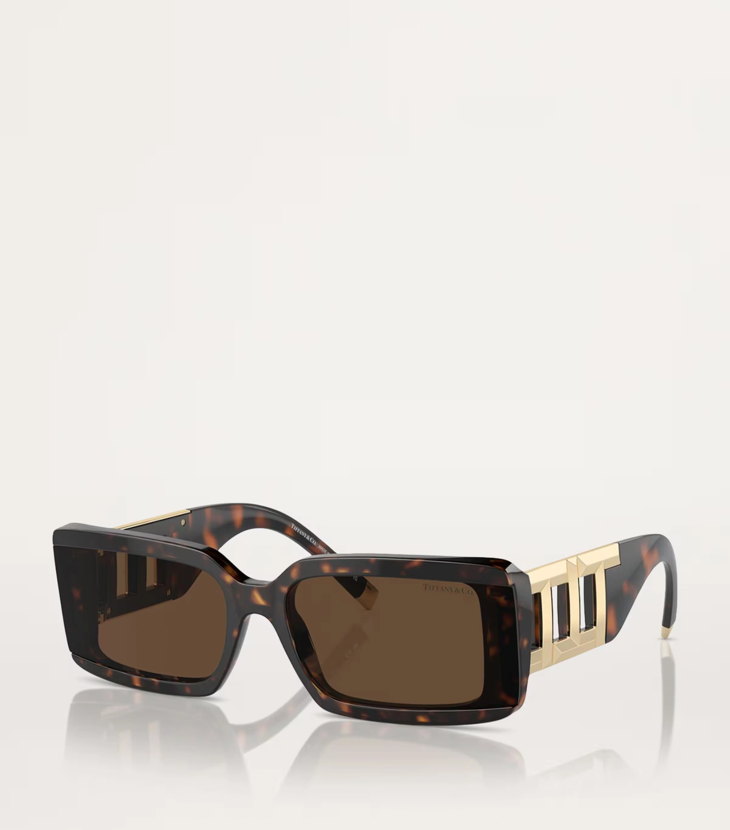 Acetate TF4197 Sunglasses